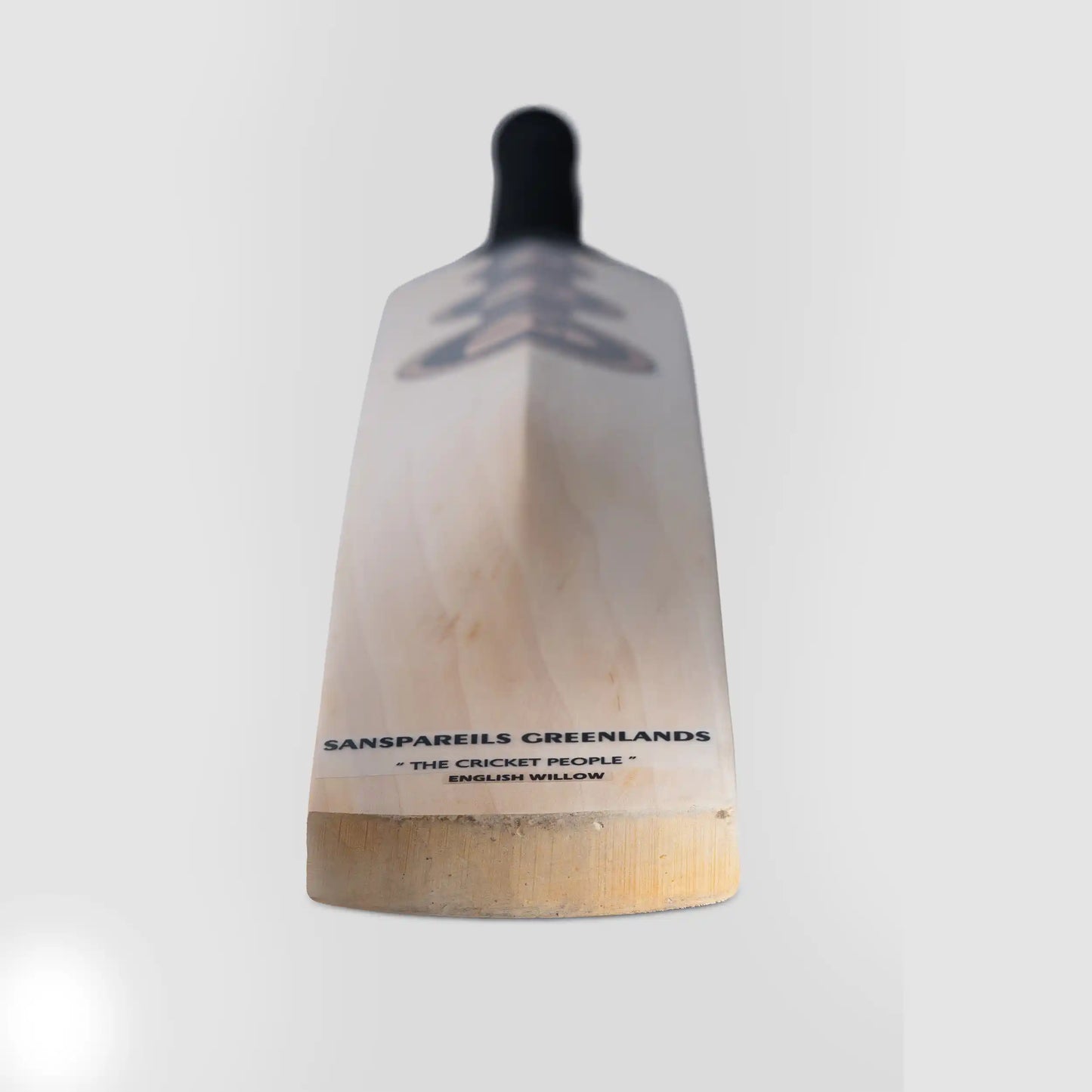SG King Cobra Arc 1.0 English willow Cricket Bat