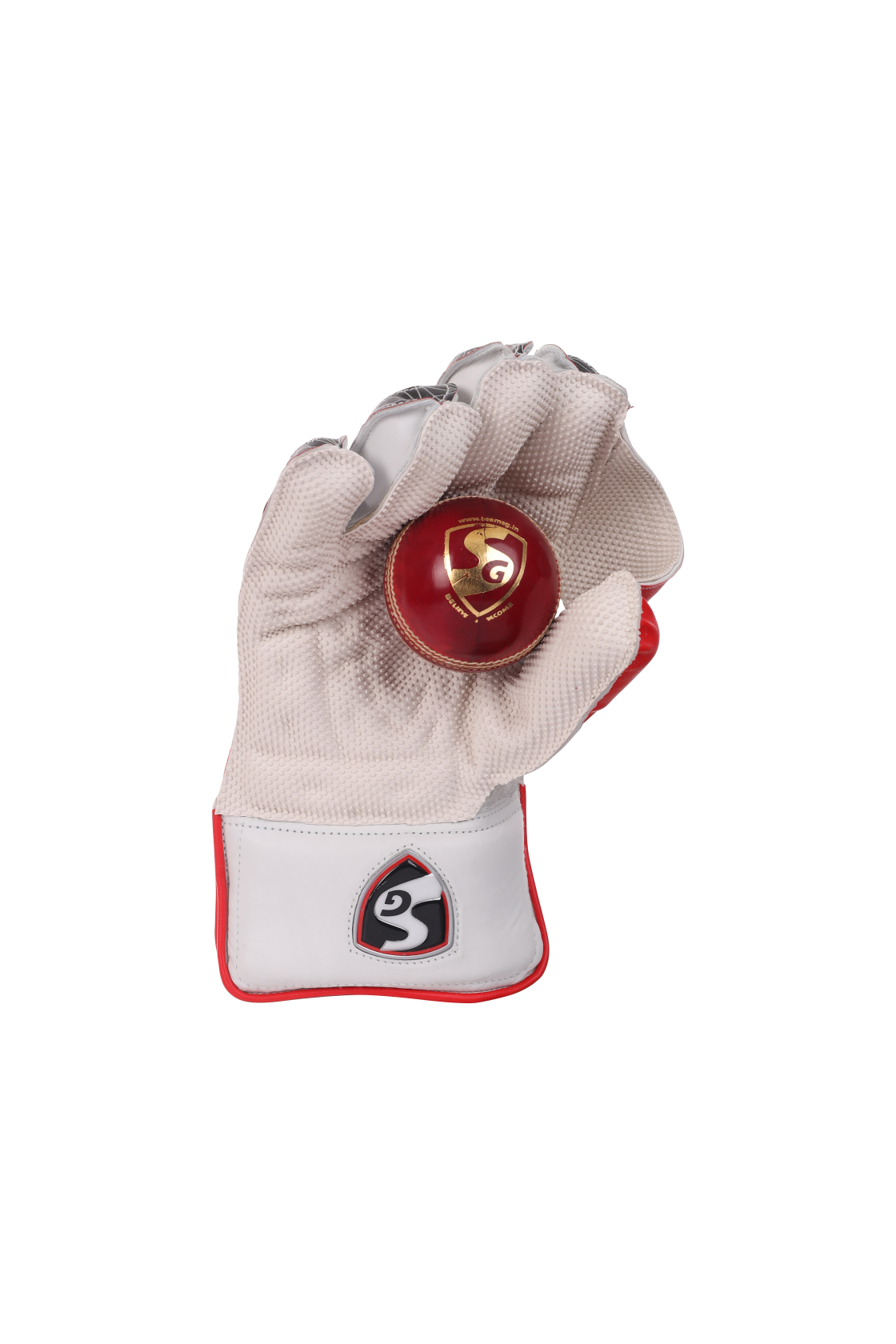 SG Test Wicket Keeping Gloves