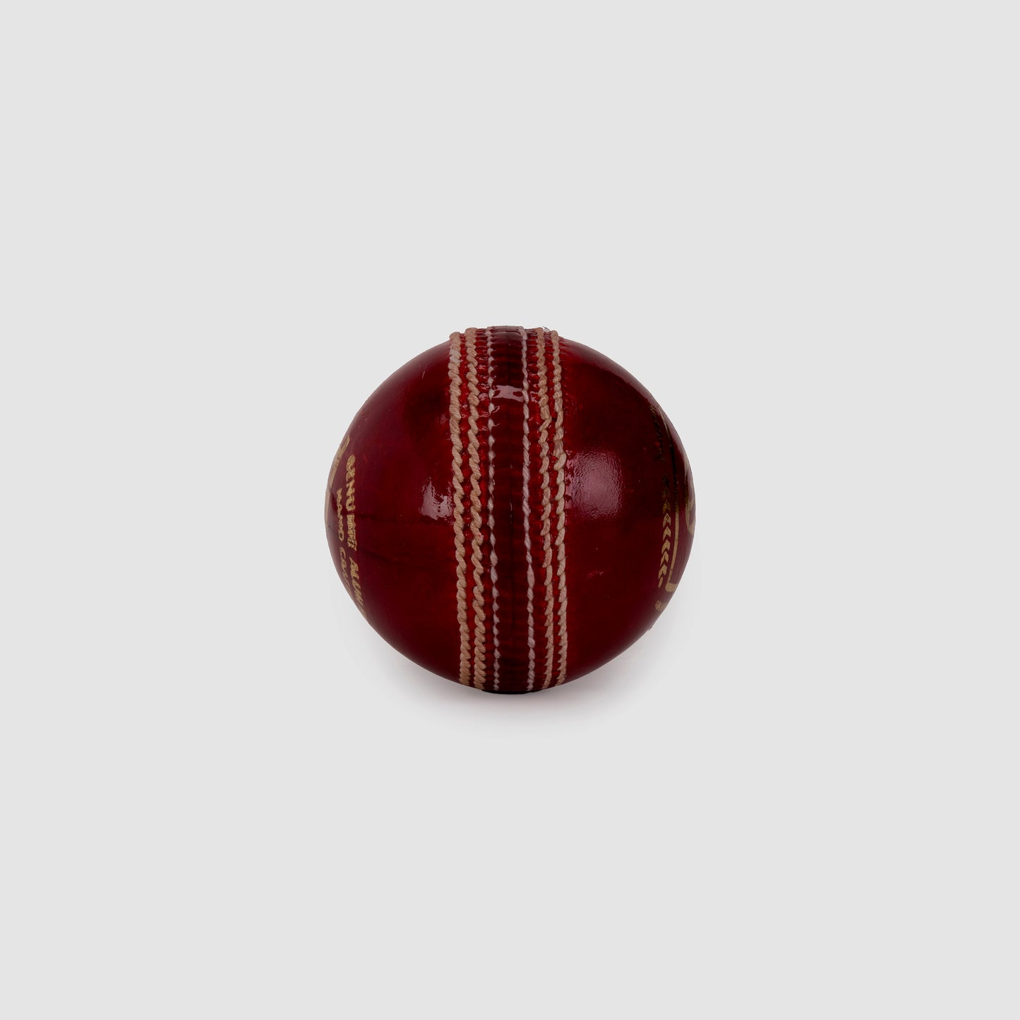 SG Test™ Cricket Leather Ball