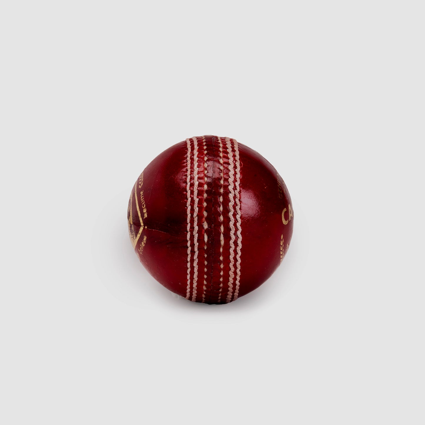 SG Campus Cricket Leather Ball