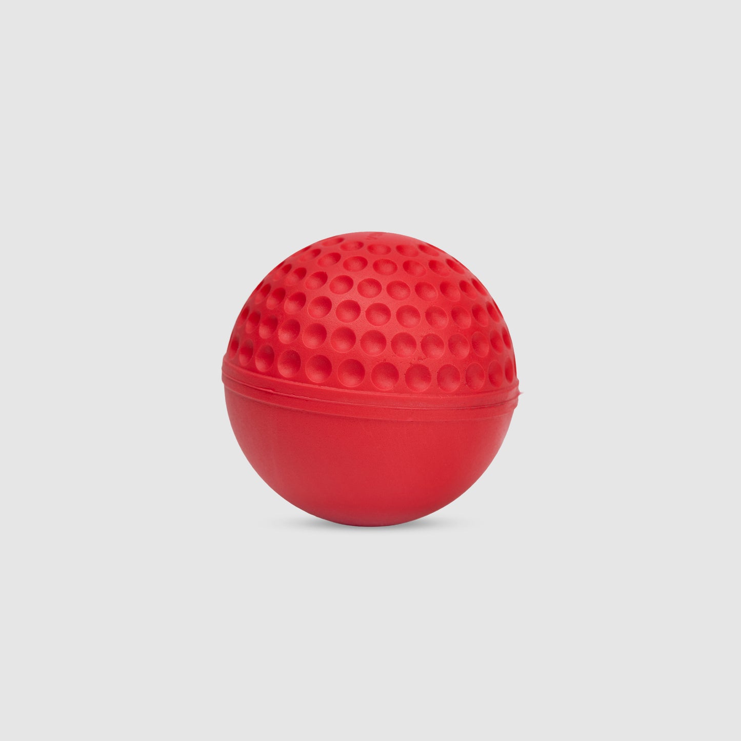 SG Swinga Cricket ball (Red)