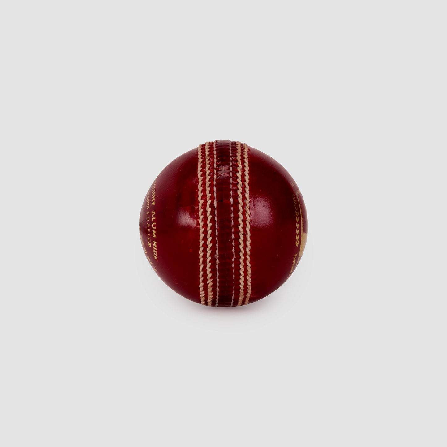 SG Tournament™ Cricket Leather Ball