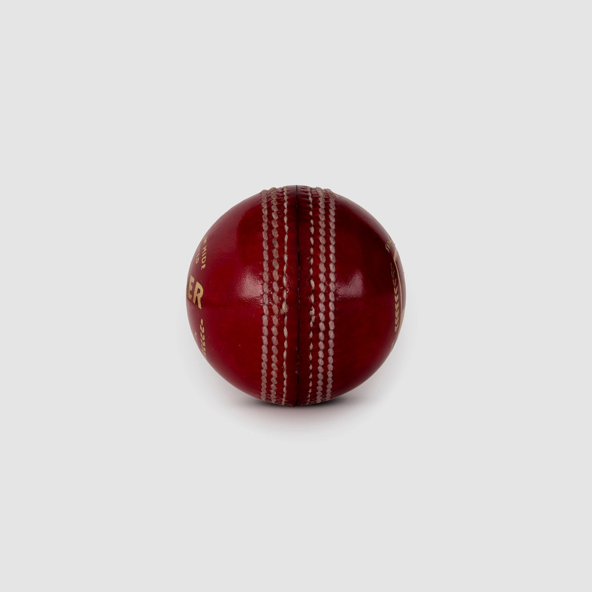 SG Seamer Cricket Leather Ball