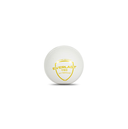 SG Everlast Tec Synthetic Cricket Ball (White)