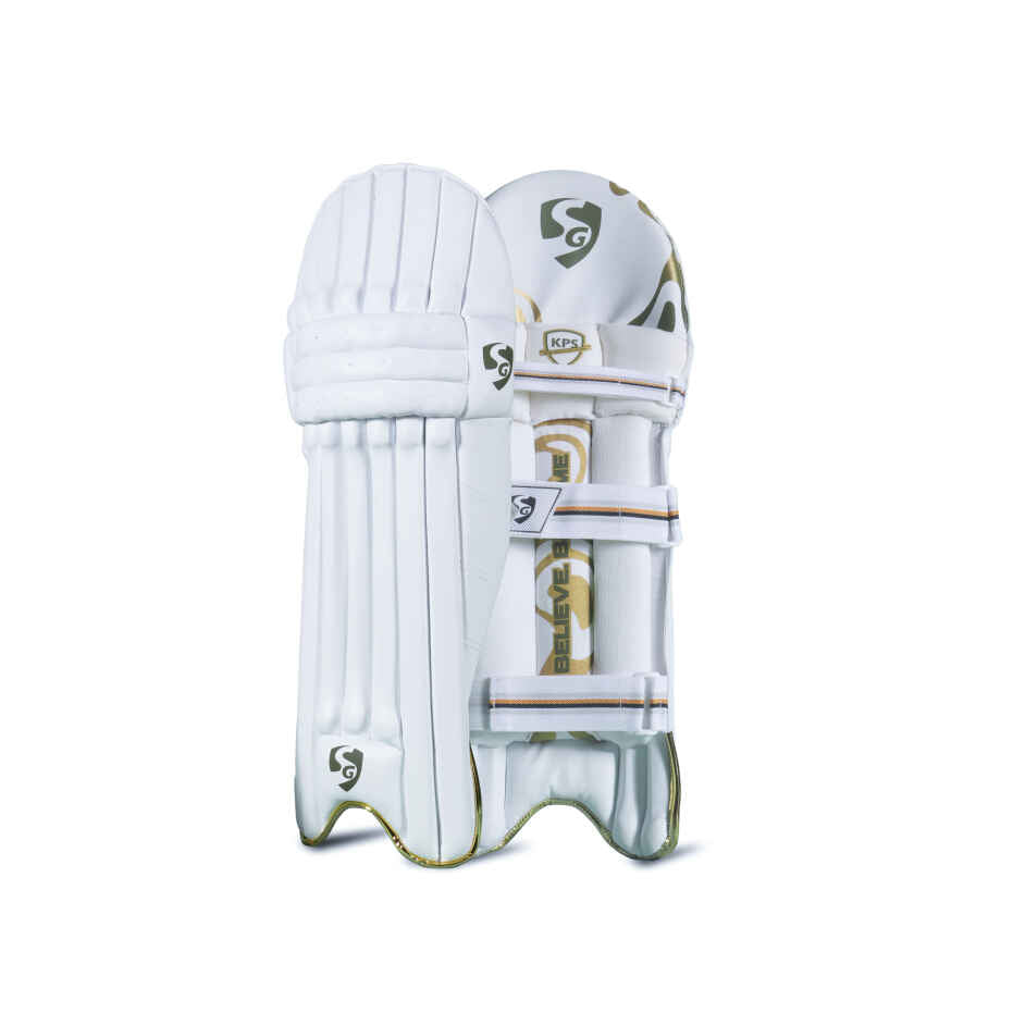 SG Savage English Willow Cricket kit