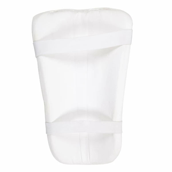 SG Test Cricket Thigh Pad