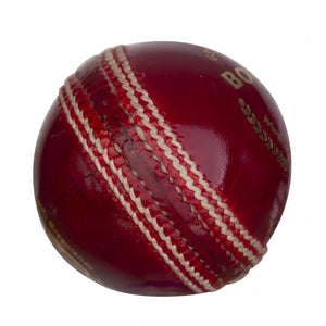 SG Bouncer™ Cricket Leather Ball