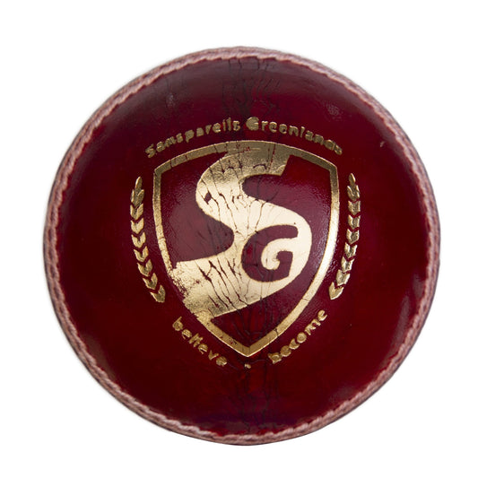 SG Campus Cricket Leather Ball