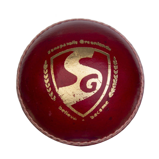 SG Seamer Cricket Leather Ball