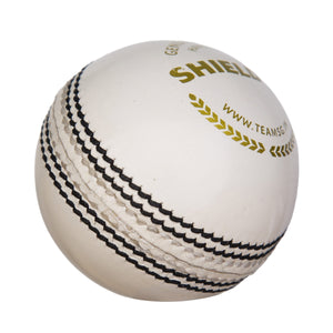 SG Shield 20 White Cricket Leather Ball