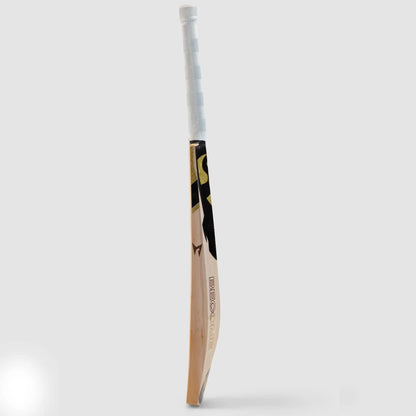 SG HP T-20 English Willow Cricket bat