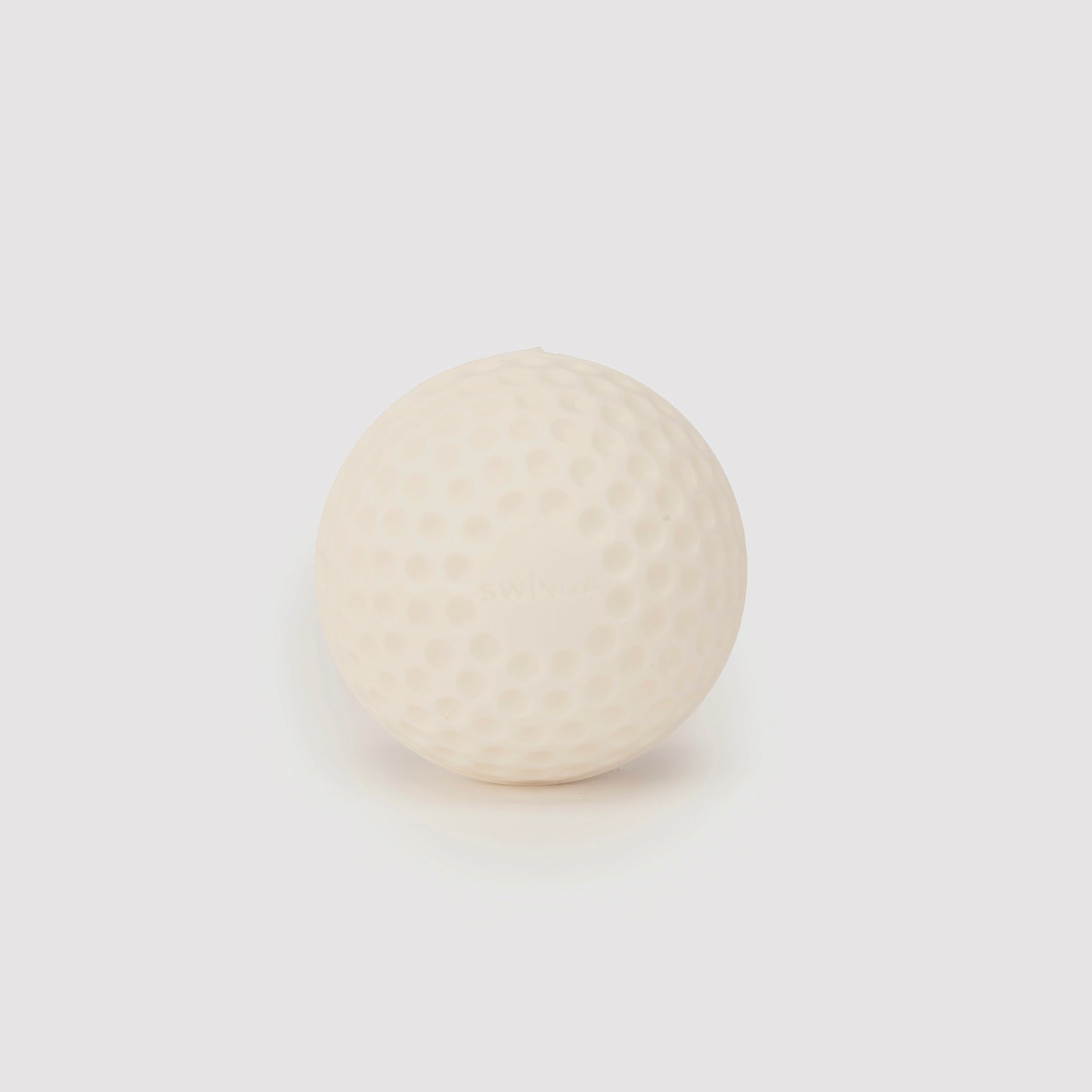 SG Swinga Cricket ball (White)