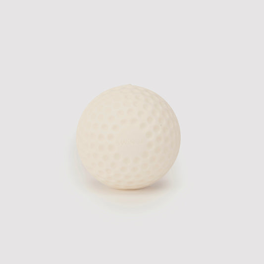 SG Swinga Cricket ball (White)