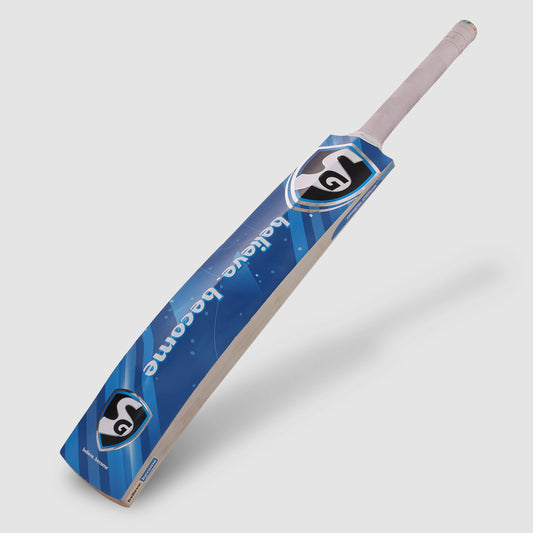 SG HP Flicker Kashmir Willow Cricket Bat
