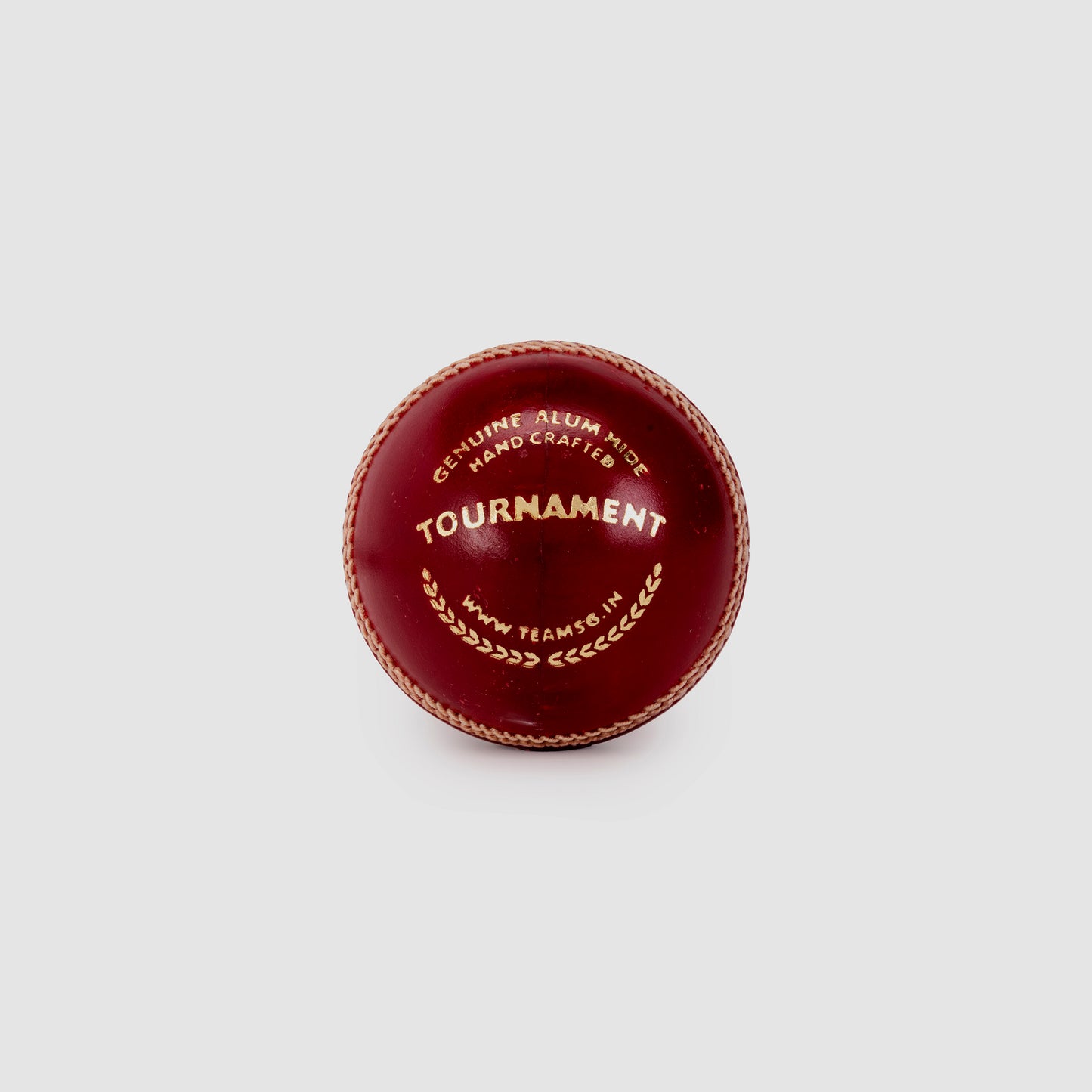 SG Tournament™ Cricket Leather Ball