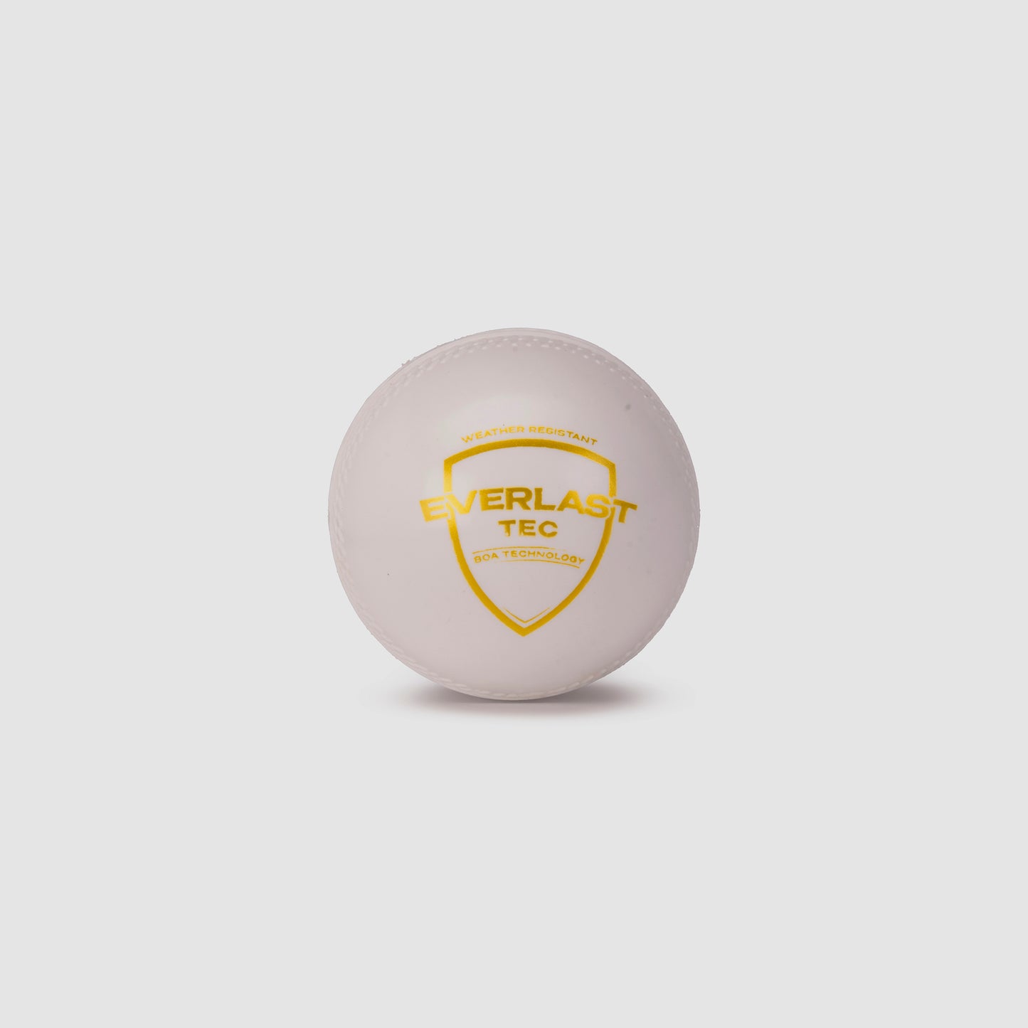 SG Everlast Tec Synthetic Cricket Ball (White)