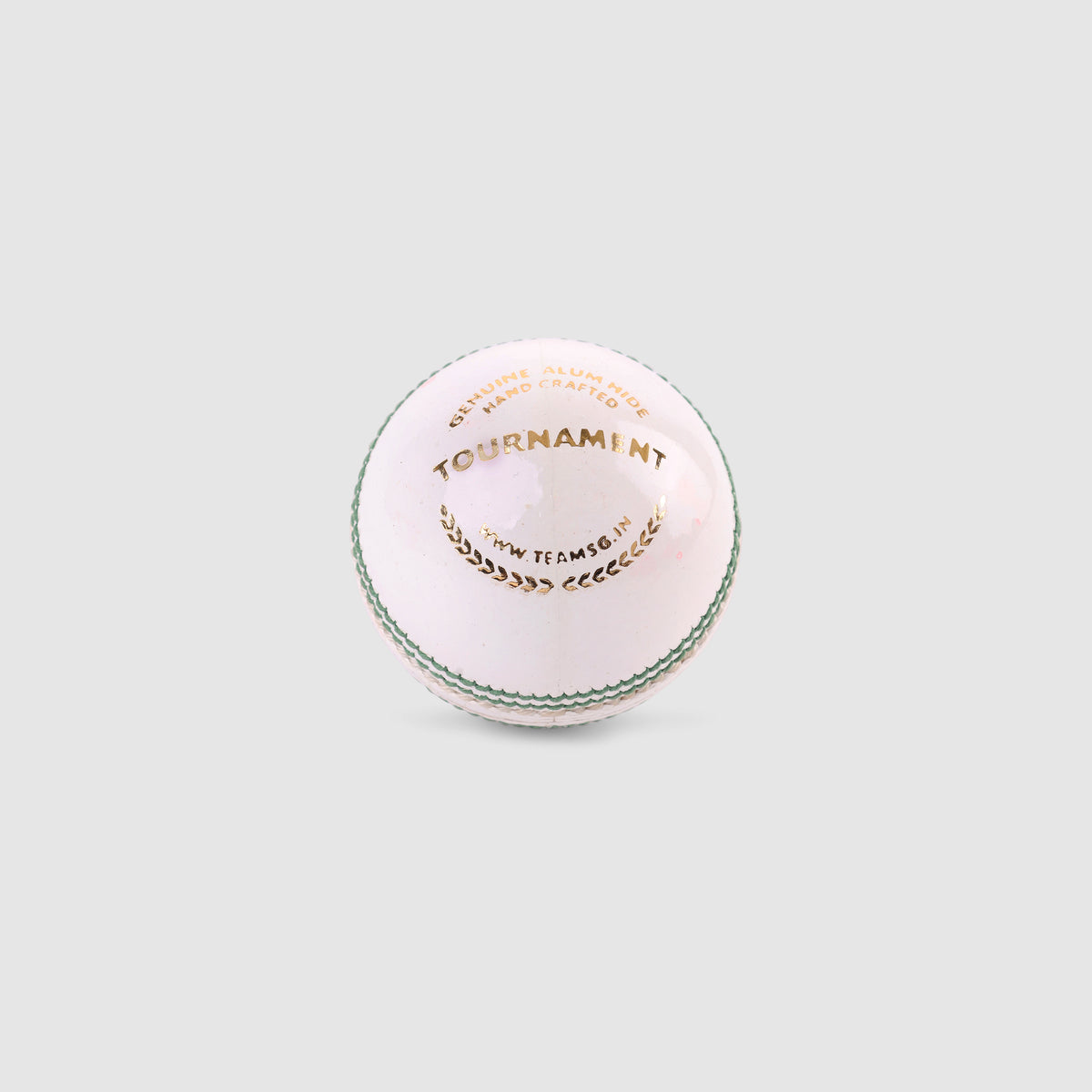 SG Tournament White Cricket Leather Ball