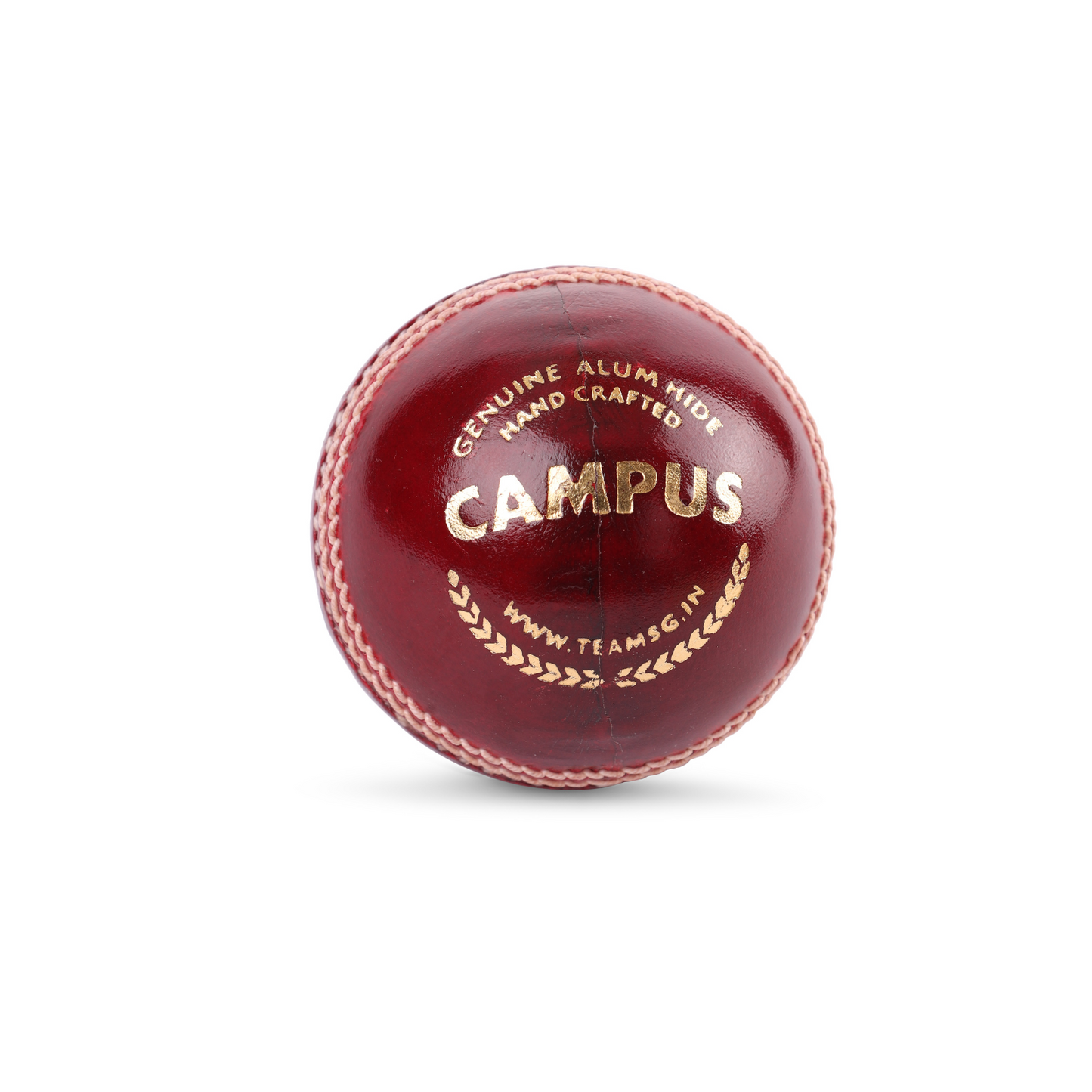 SG Campus Cricket Leather Ball