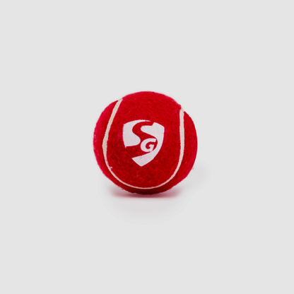 SG CLUB Heavy Cricket Balls (PACK OF 6)
