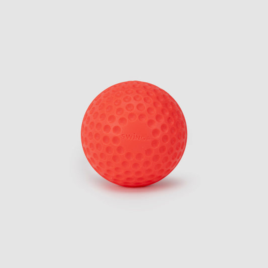 SG Swinga Cricket ball (Pink)