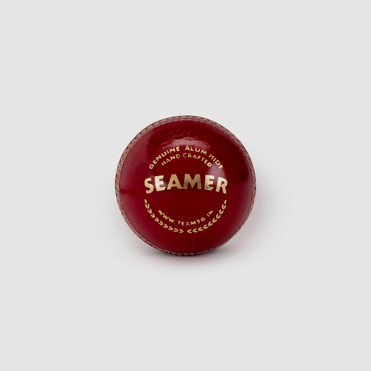 SG Seamer Cricket Leather Ball