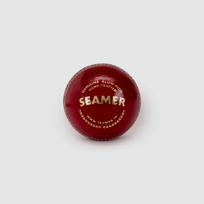 SG Seamer Cricket Leather Ball