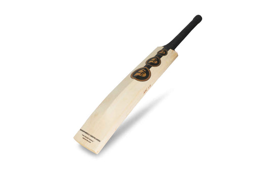 SG King Cobra Arc 1.0 English willow Cricket Bat