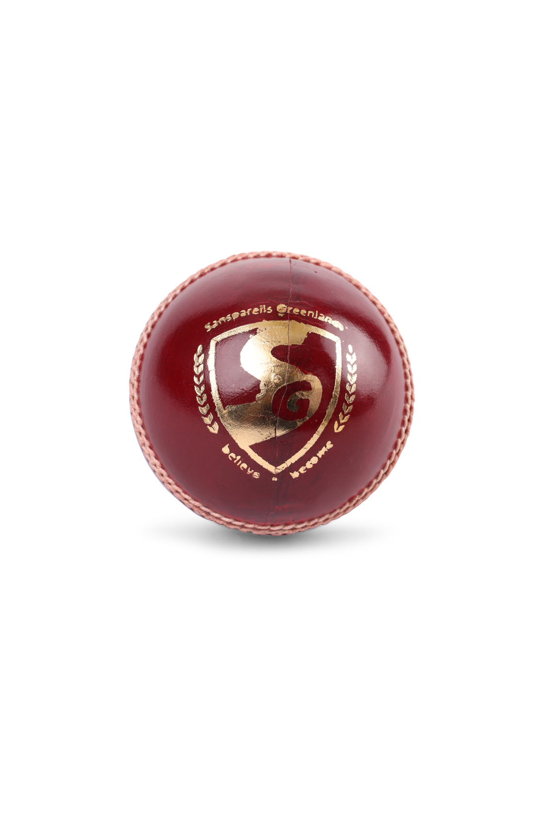 SG Tournament Cricket Leather Ball