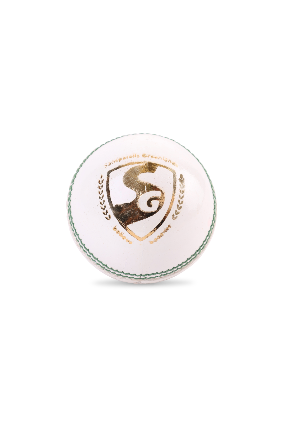 SG Test White S.Adult Cricket Leather Ball