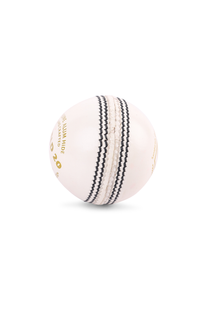 SG Shield 20 White Leather Cricket Ball