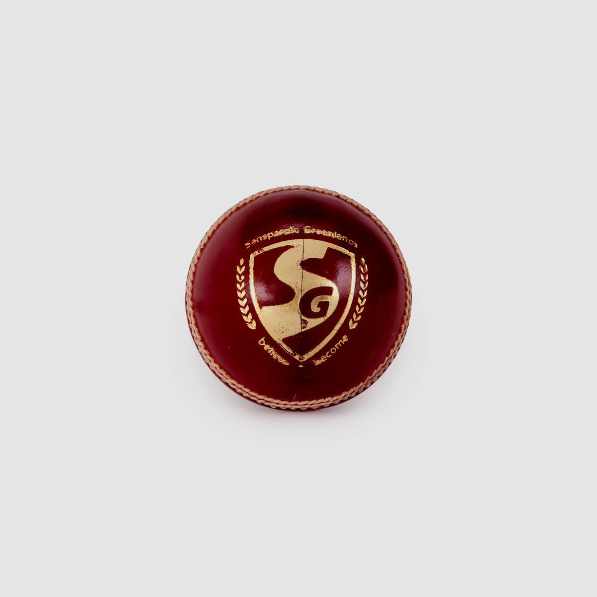 SG Tournament Red Cricket Leather Ball