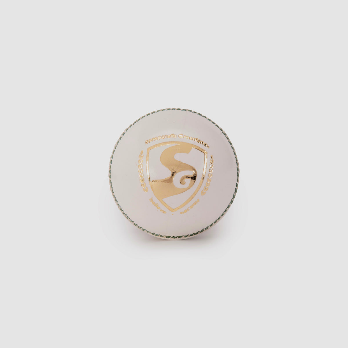 SG Test LE White Cricket Leather Ball