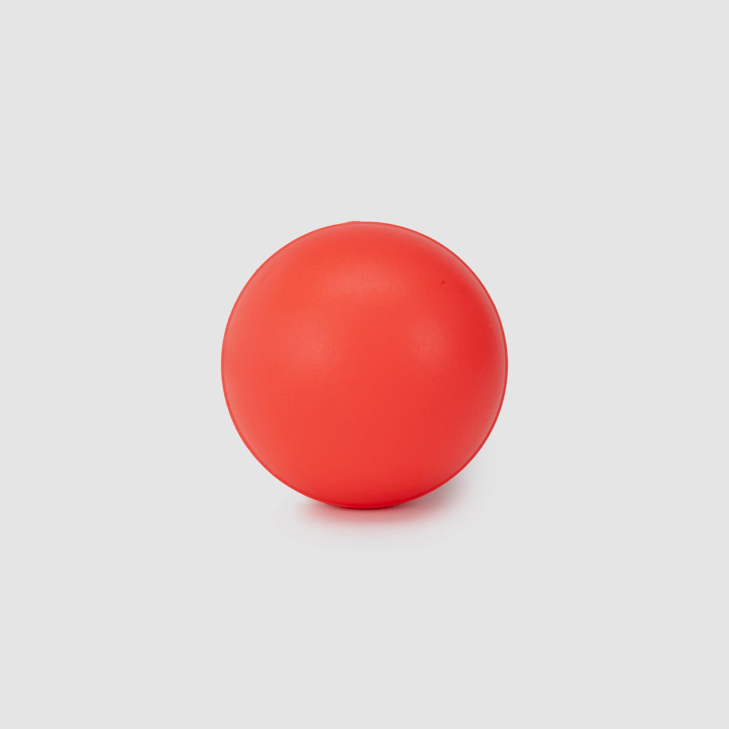 SG Swinga Cricket ball (Pink)