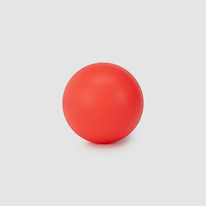 SG Swinga Cricket ball (Pink)