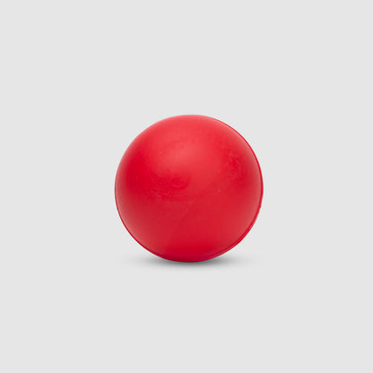 SG Swinga Cricket ball (Red)