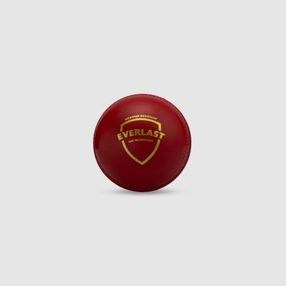 SG Everlast Tec Synthetic Cricket Ball (Red)