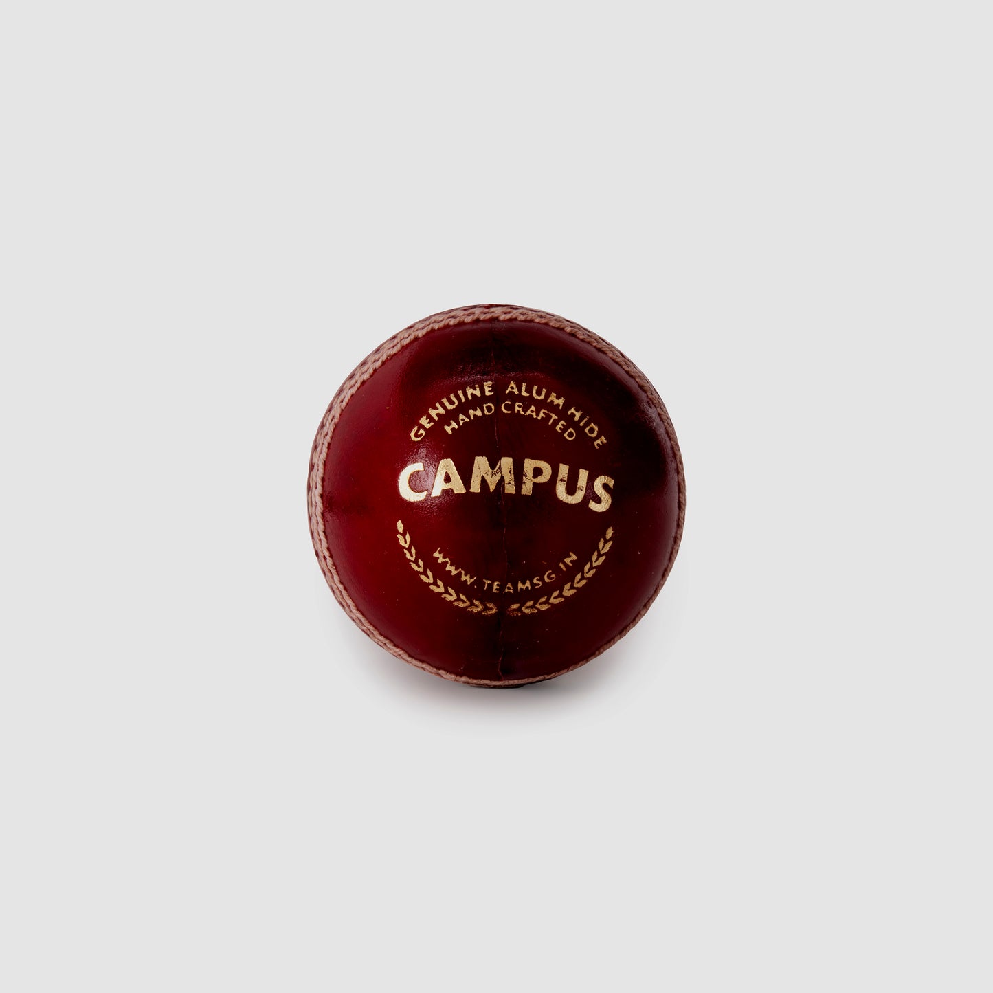 SG Campus Cricket Leather Ball