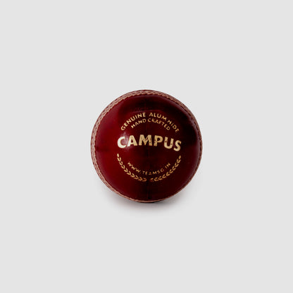 SG Campus Cricket Leather Ball