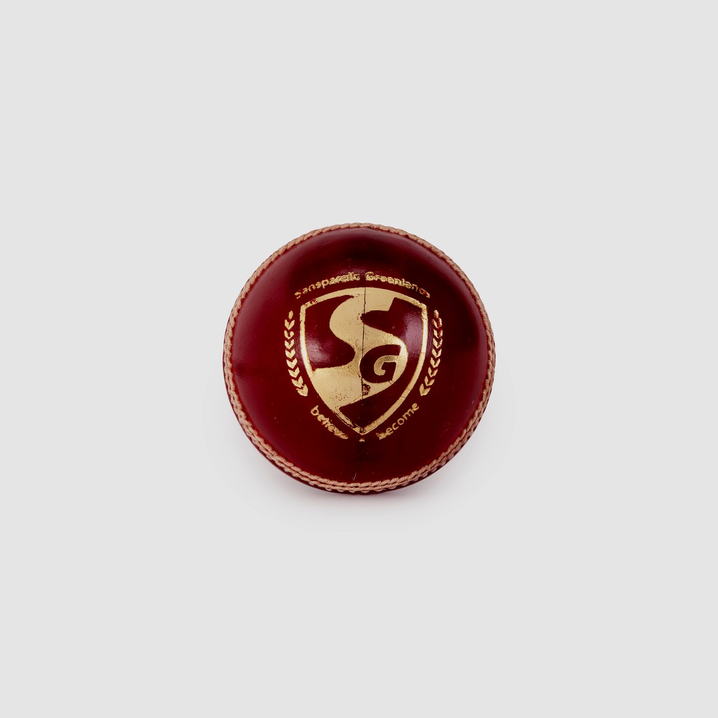 SG Tournament™ Cricket Leather Ball