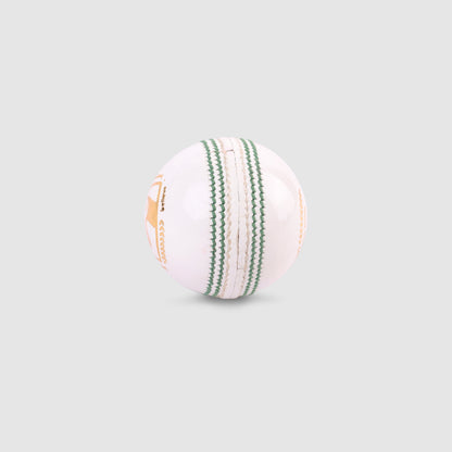 SG Tournament White Cricket Leather Ball