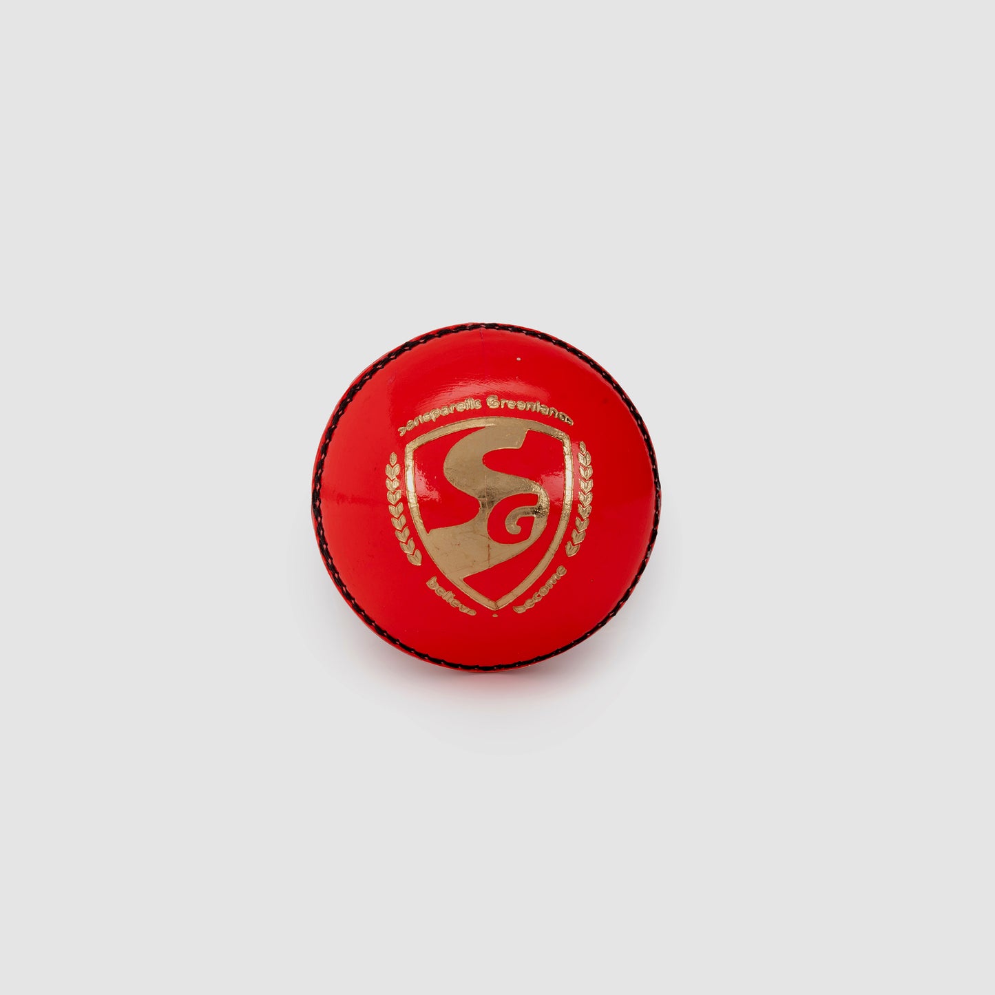 SG Club™ Pink Cricket Leather Ball (SG Pink Ball)