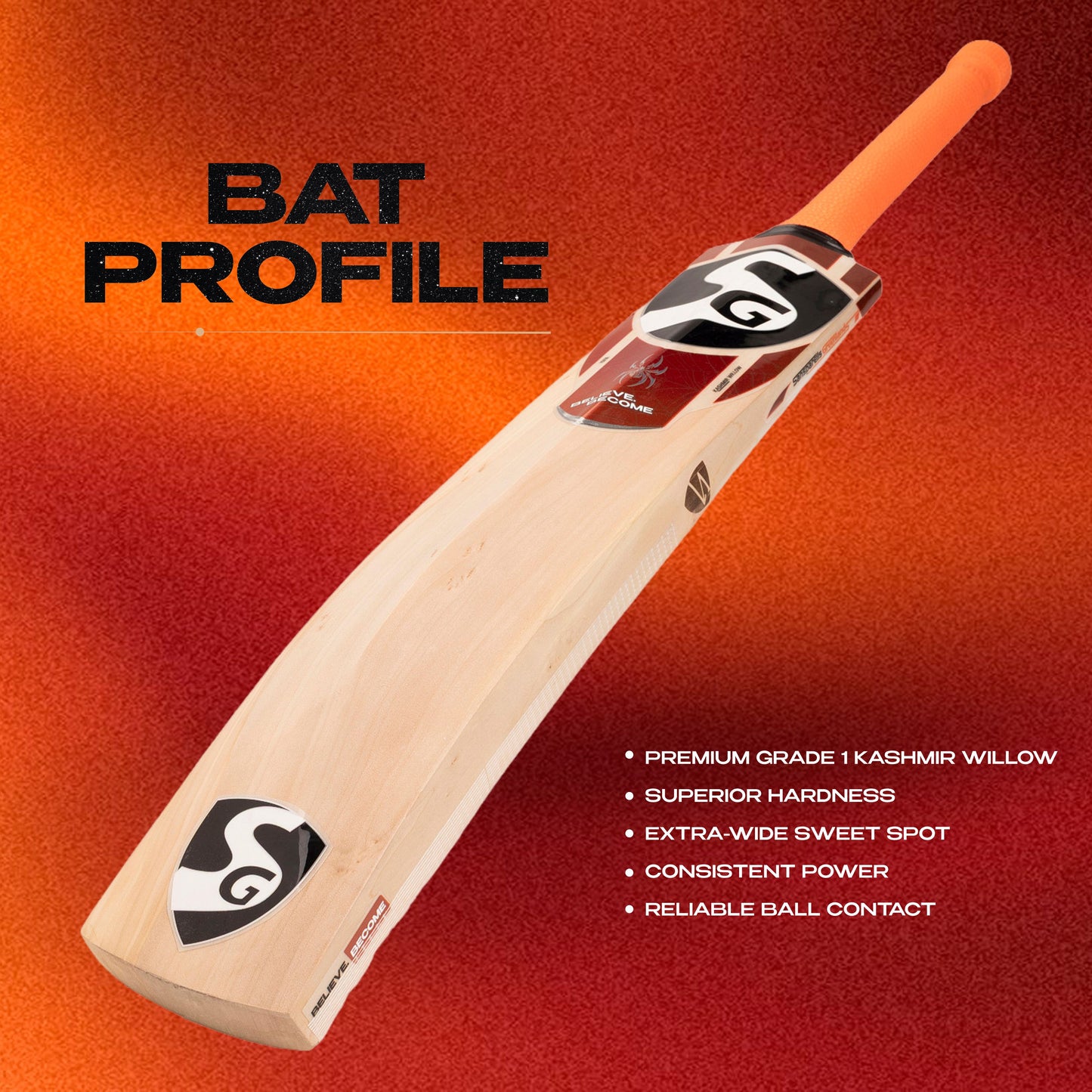 SG RP Pro Kashmir Willow Cricket Bat