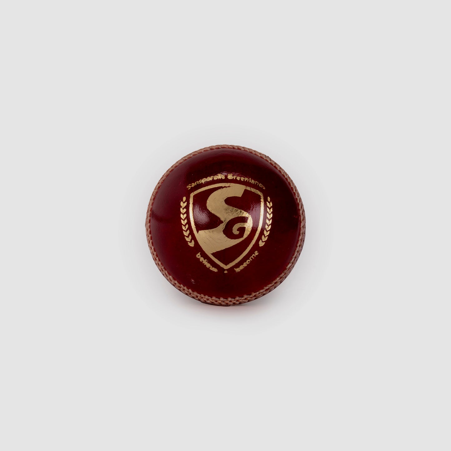 SG Test™ Cricket Leather Ball