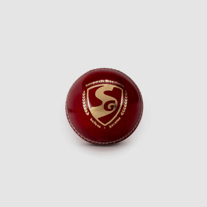 SG Seamer Cricket Leather Ball