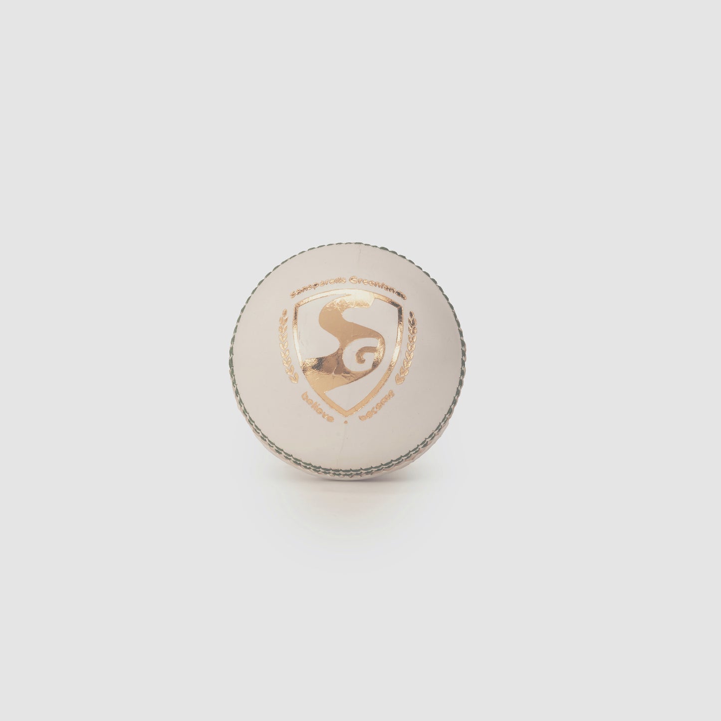 SG Shield 30 White Cricket Leather Ball