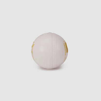 SG Everlast Tec Synthetic Cricket Ball (White)