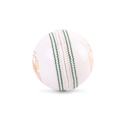 SG Test LE White S.Adult Leather Cricket Ball