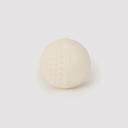 SG Swinga Cricket ball (White)
