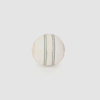 SG Cricket Balls SUPER 50 White*