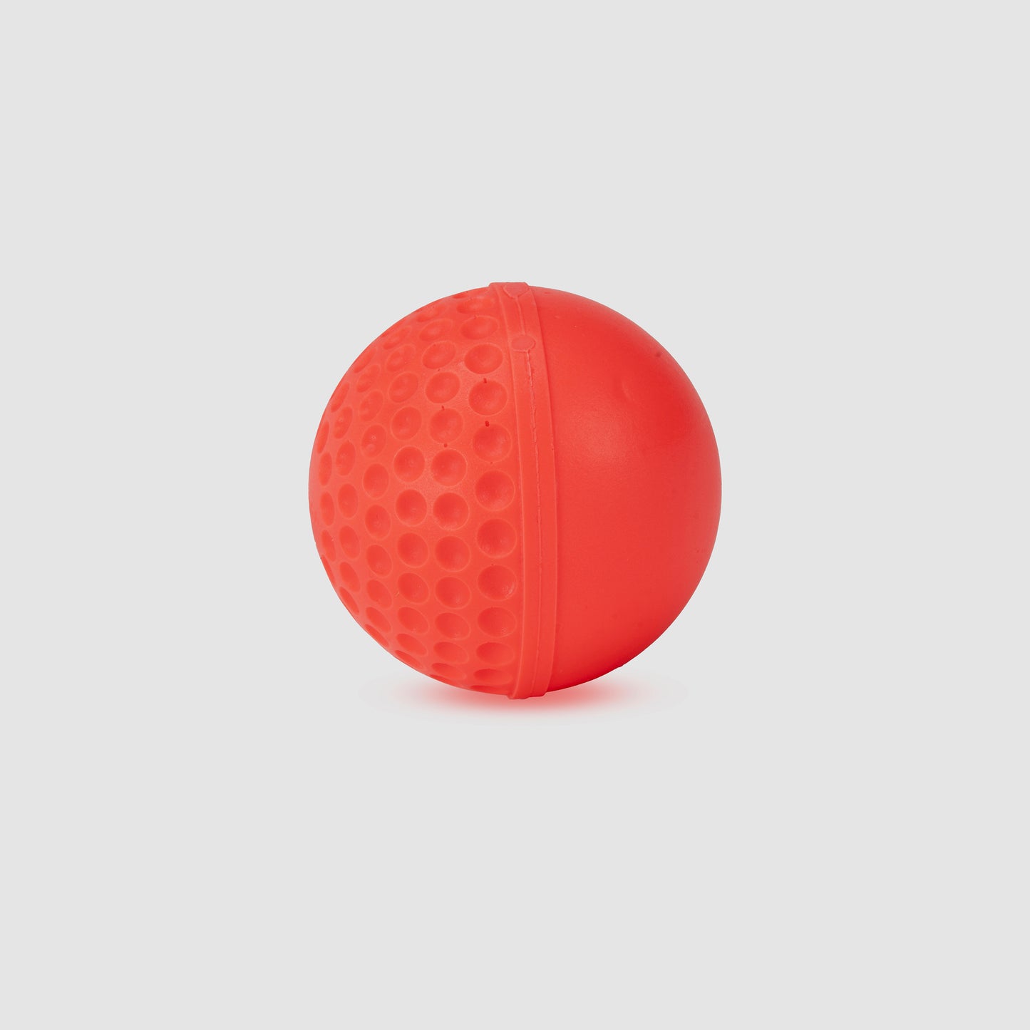 SG Swinga Cricket ball (Pink)